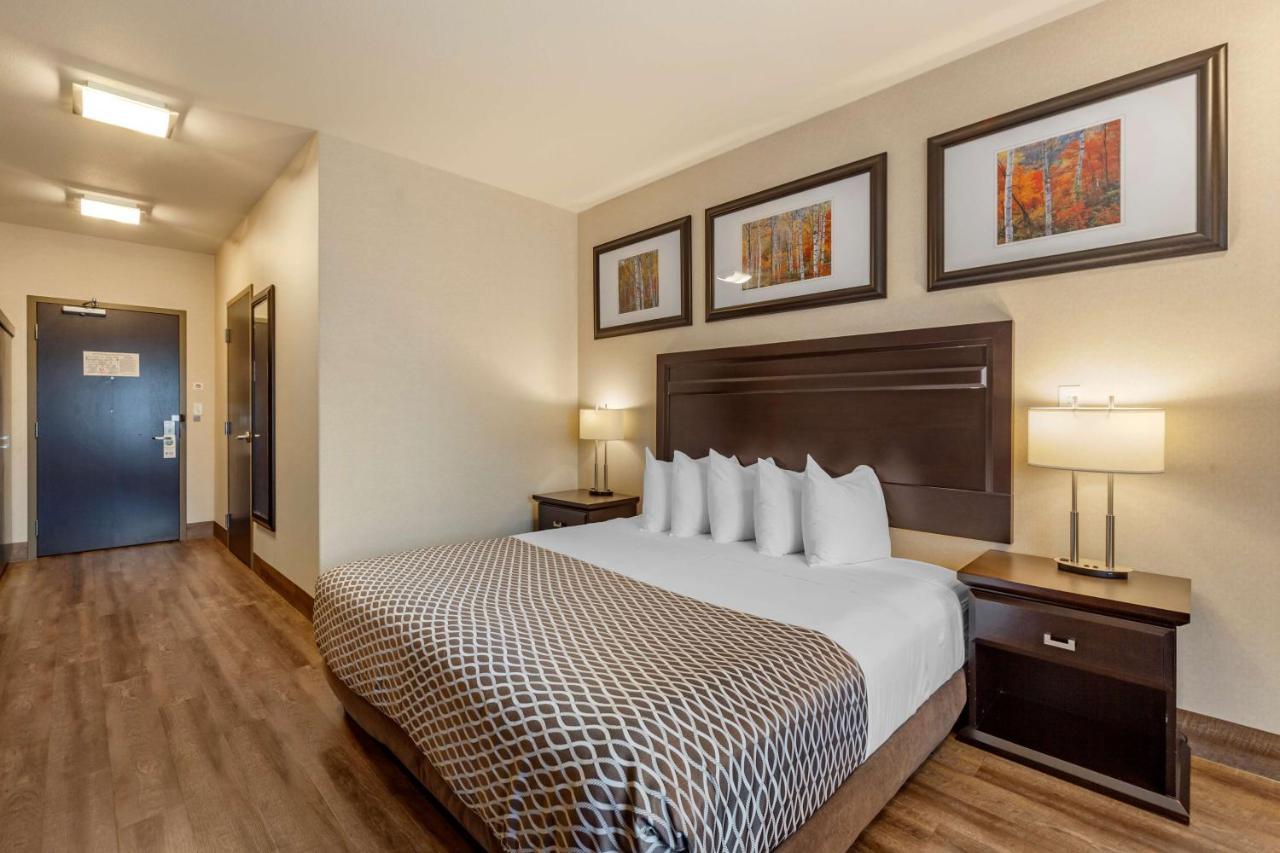 Best Western Plus The Inn At St Albert Saint Albert Extérieur photo